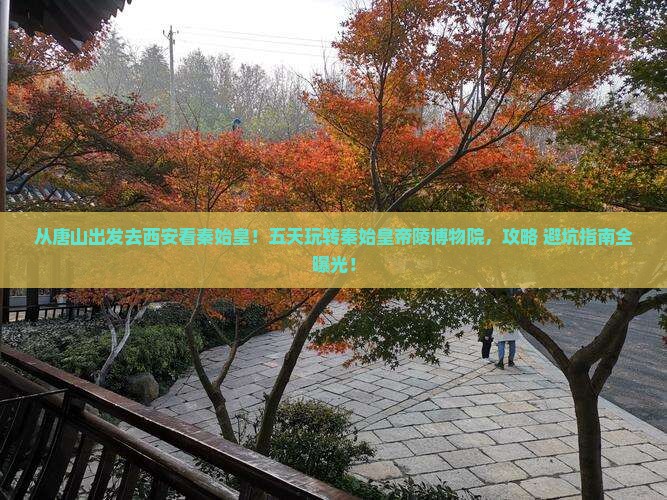 唐山去西安秦始皇帝陵博物院五日游
