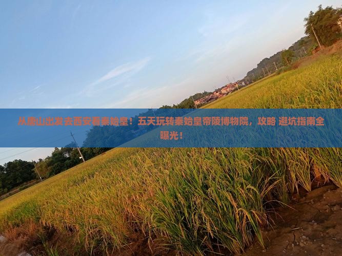 唐山去西安秦始皇帝陵博物院五日游