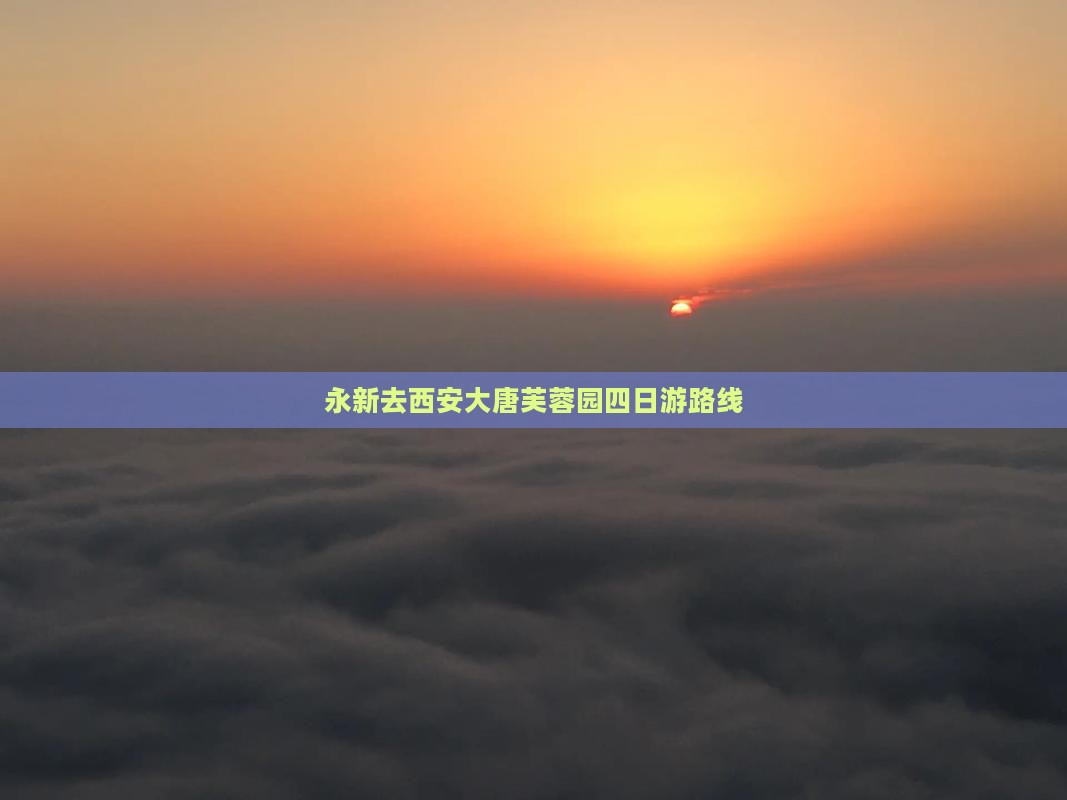 永新去西安大唐芙蓉园四日游