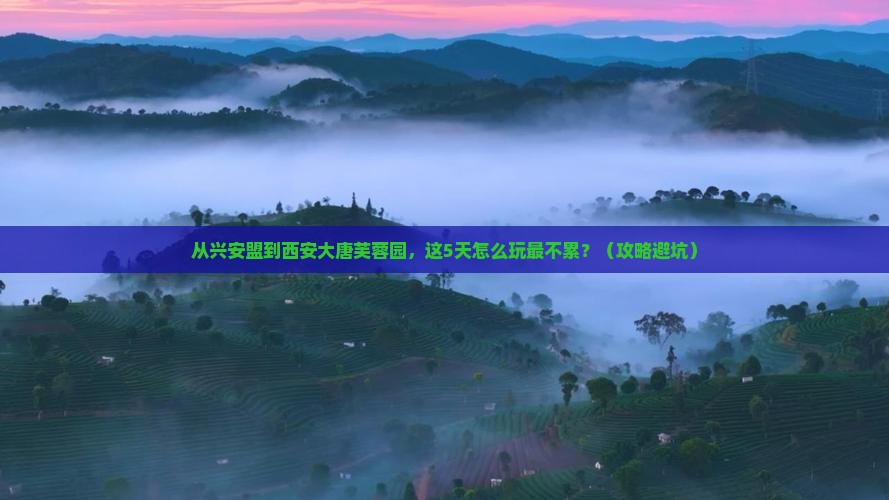 兴安盟到西安大唐芙蓉园必去地
