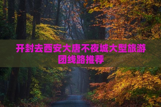 开封去西安大唐不夜城大型旅游团