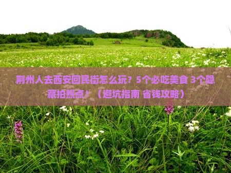 荆州去西安回民街旅行社