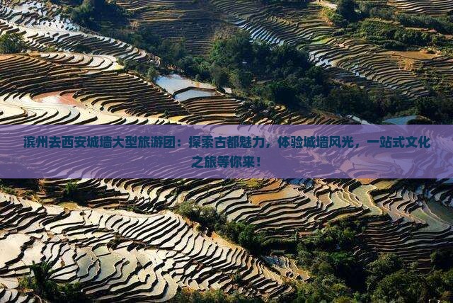 滨州去西安城墙大型旅游团