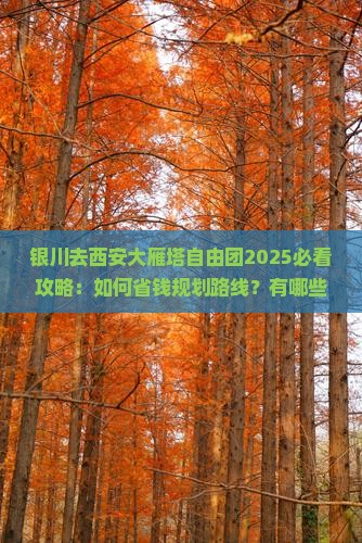 银川去西安大雁塔自由团