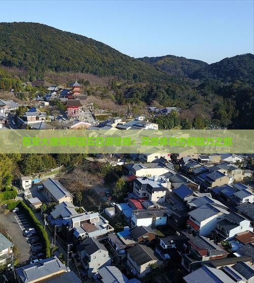 西安大唐芙蓉园五日游攻略：深度体验古都魅力之旅