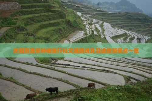 庆阳到西安钟楼旅行社交通路线及沿途旅游景点一览