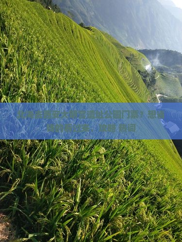 北海去西安大明宫遗址公园门票？想省钱的看过来，攻略+热词