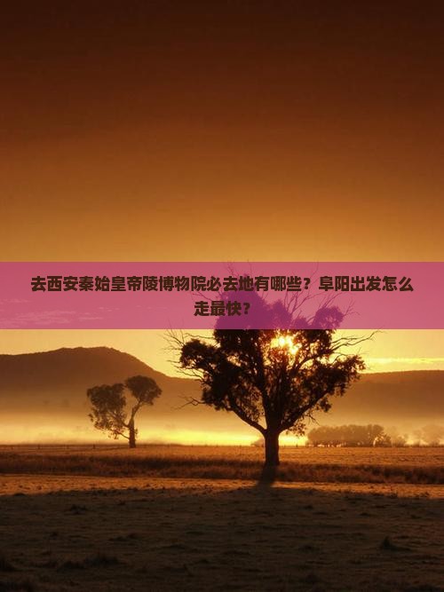 去西安秦始皇帝陵博物院必去地有哪些？阜阳出发怎么走最快？