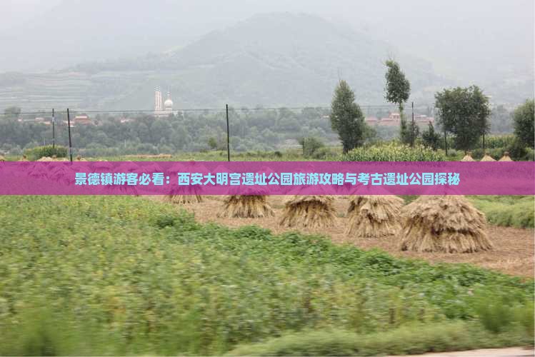 景德镇游客必看：西安大明宫遗址公园旅游攻略与考古遗址公园探秘