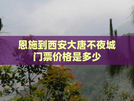 恩施到西安大唐不夜城门票价格是多少