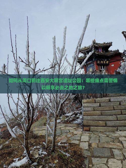 如何从周口前往西安大明宫遗址公园：哪些痛点需警惕以畅享必去之地之旅？