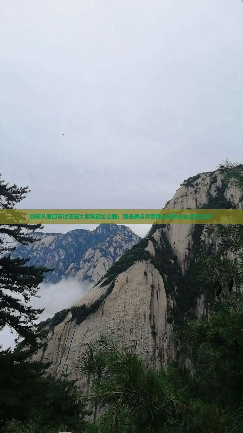如何从周口前往西安大明宫遗址公园：哪些痛点需警惕以畅享必去之地之旅？