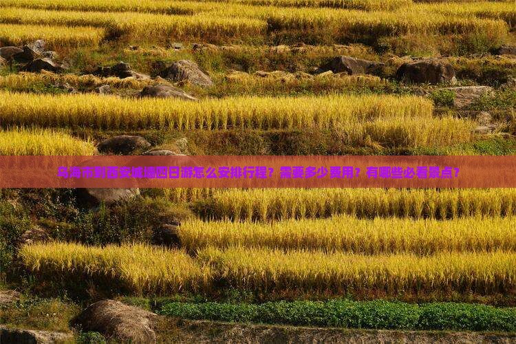 乌海市到西安城墙四日游怎么安排行程？需要多少费用？有哪些必看景点？