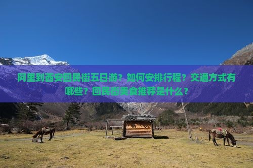 阿里到西安回民街五日游？如何安排行程？交通方式有哪些？回民街美食推荐是什么？