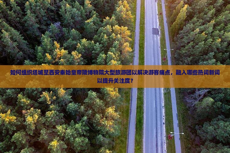 如何组织塔城至西安秦始皇帝陵博物院大型旅游团以解决游客痛点，融入哪些热词新词以提升关注度？