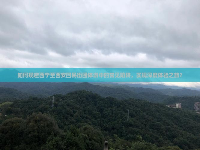 如何规避西宁至西安回民街团体游中的常见陷阱，实现深度体验之旅？