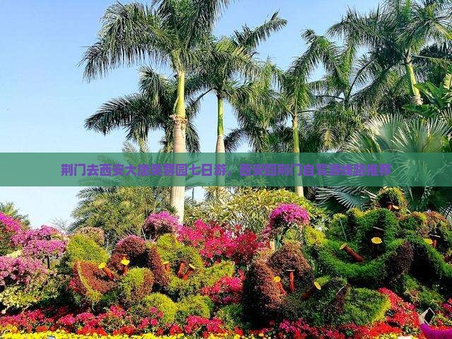 荆门去西安大唐芙蓉园七日游，西安回荆门自驾游线路推荐