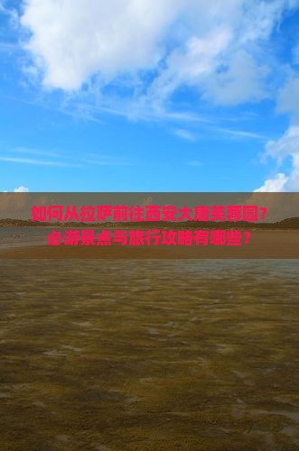 如何从拉萨前往西安大唐芙蓉园？必游景点与旅行攻略有哪些？