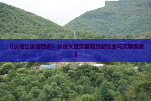 《长治出发游西安：探秘大唐芙蓉园旅游攻略与芙蓉美景》