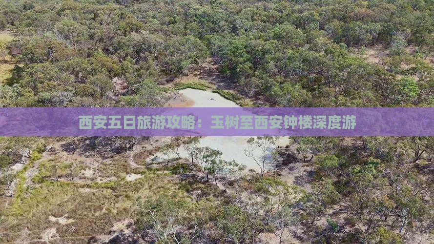 西安五日旅游攻略：玉树至西安钟楼深度游