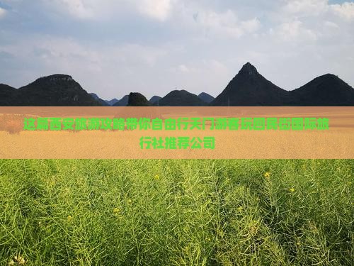 这篇西安旅游攻略带你自由行天门游客玩回民街国际旅行社推荐公司