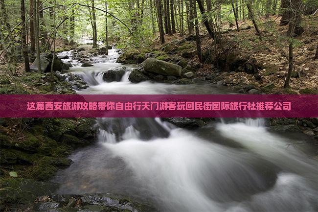 这篇西安旅游攻略带你自由行天门游客玩回民街国际旅行社推荐公司