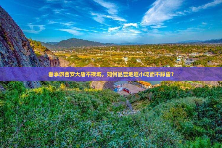 春季游西安大唐不夜城，如何品尝地道小吃而不踩雷？