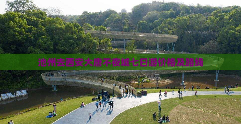 池州去西安大唐不夜城七日游价格及路线