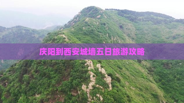 庆阳到西安城墙五日旅游攻略