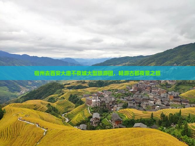 宿州去西安大唐不夜城大型旅游团，畅游古都夜景之旅