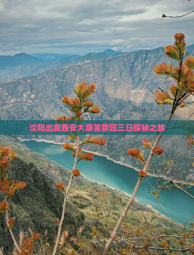 沈阳出发西安大唐芙蓉园三日探秘之旅