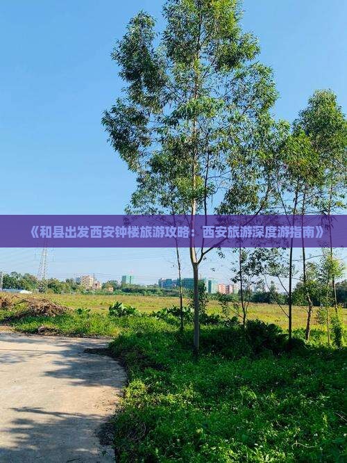 《和县出发西安钟楼旅游攻略：西安旅游深度游指南》