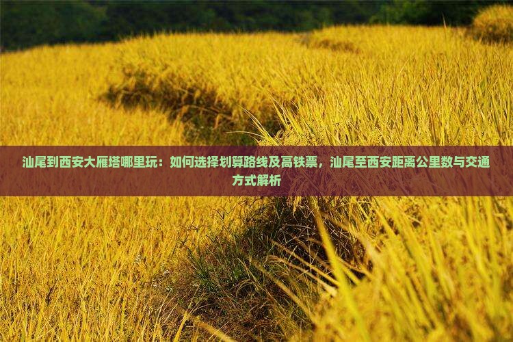 汕尾到西安大雁塔哪里玩：如何选择划算路线及高铁票，汕尾至西安距离公里数与交通方式解析