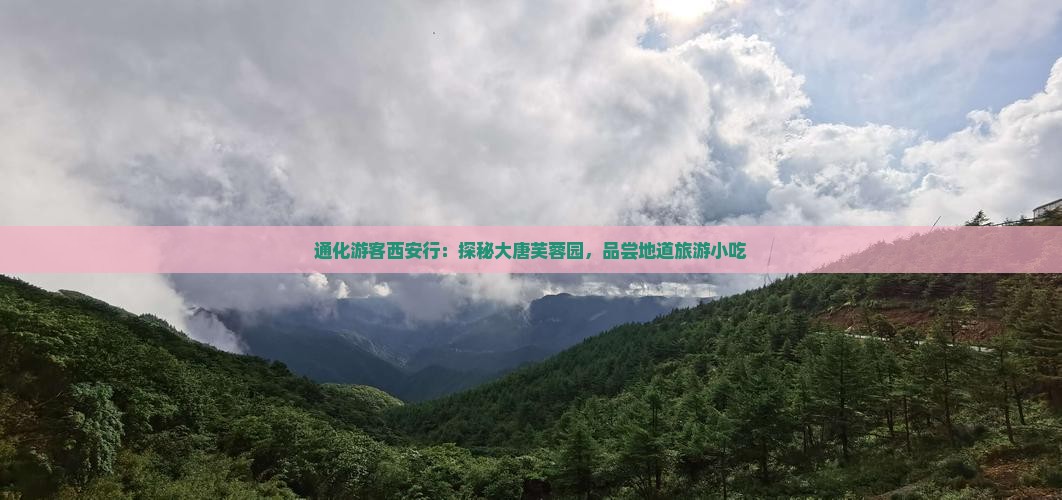 通化游客西安行：探秘大唐芙蓉园，品尝地道旅游小吃