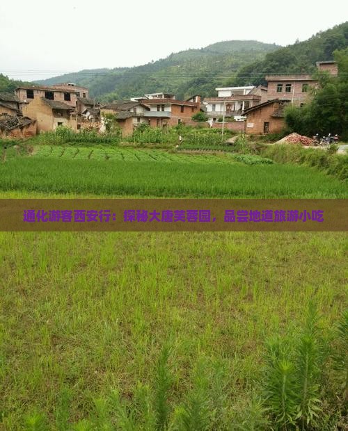 通化游客西安行：探秘大唐芙蓉园，品尝地道旅游小吃