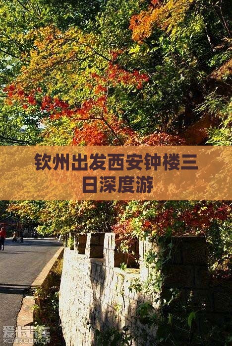 钦州出发西安钟楼三日深度游
