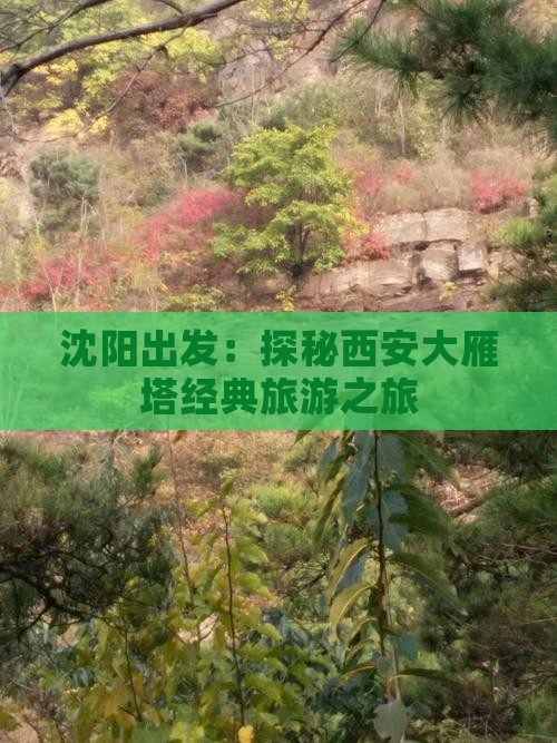 沈阳出发：探秘西安大雁塔经典旅游之旅