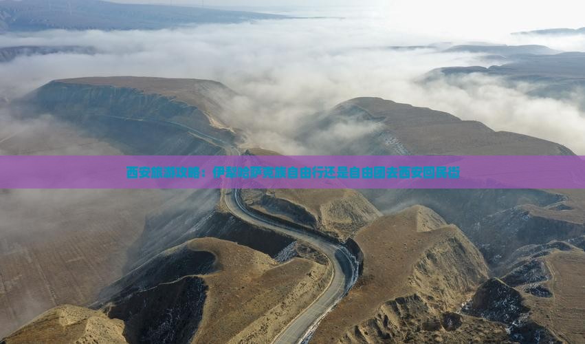 西安旅游攻略：伊犁哈萨克族自由行还是自由团去西安回民街