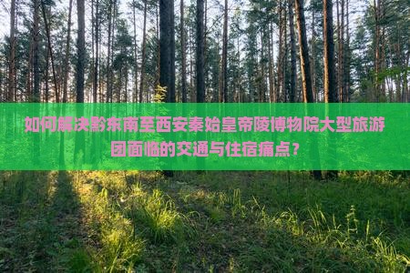 如何解决黔东南至西安秦始皇帝陵博物院大型旅游团面临的交通与住宿痛点？