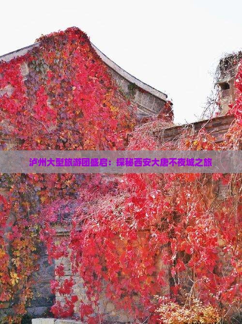 泸州大型旅游团盛启：探秘西安大唐不夜城之旅