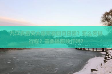 九江去西安大唐芙蓉园自由团？怎么安排行程？需要提前预订吗？