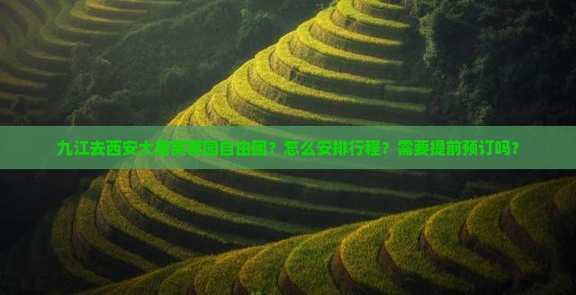 九江去西安大唐芙蓉园自由团？怎么安排行程？需要提前预订吗？