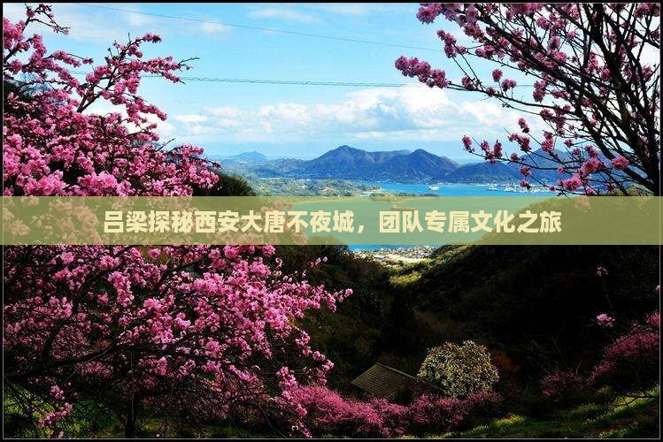 吕梁探秘西安大唐不夜城，团队专属文化之旅
