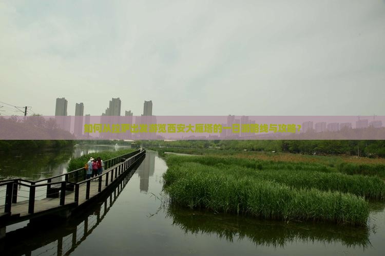 如何从拉萨出发游览西安大雁塔的一日游路线与攻略？