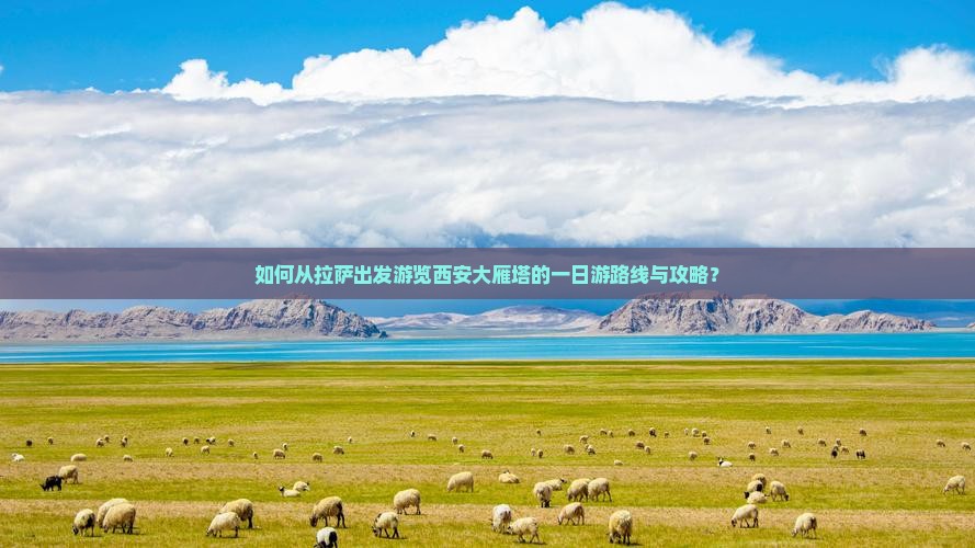 如何从拉萨出发游览西安大雁塔的一日游路线与攻略？