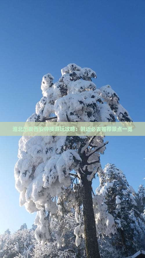 淮北出发西安钟楼游玩攻略：附近必去推荐景点一览