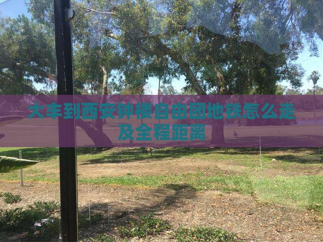 大丰到西安钟楼自由团地铁怎么走及全程距离