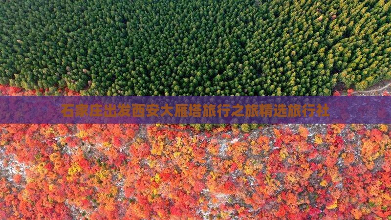 石家庄出发西安大雁塔旅行之旅精选旅行社