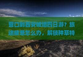 营口到西安城墙四日游？旅途疲惫怎么办，解锁种草特种兵旅游新模式