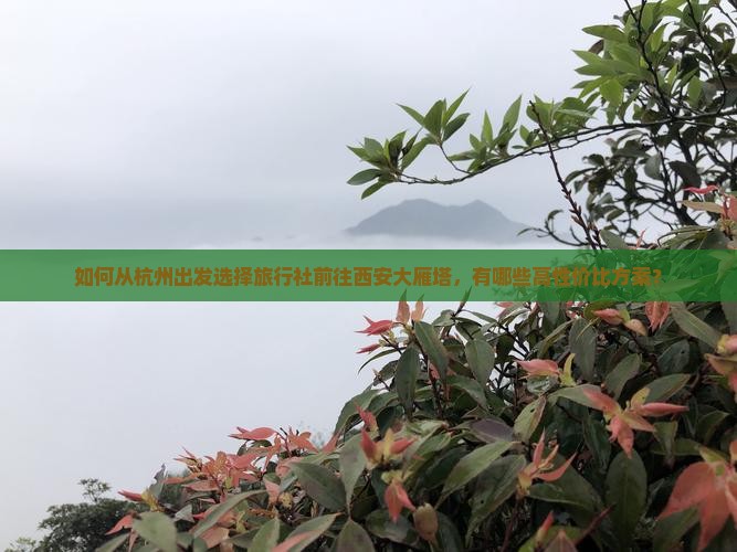 如何从杭州出发选择旅行社前往西安大雁塔，有哪些高性价比方案？